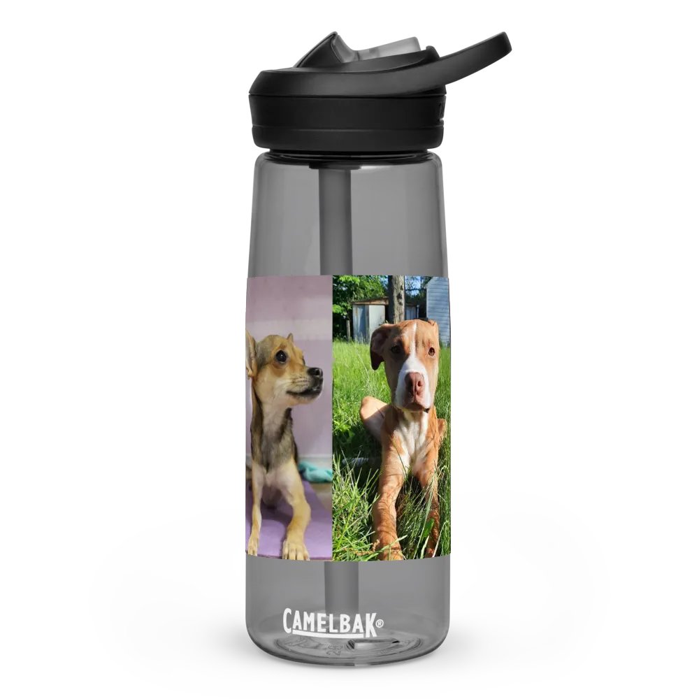 All The Pets Bottle! product image (1)