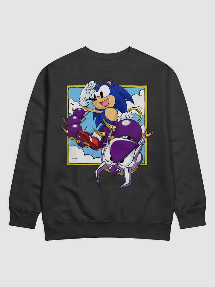 The Hedgehog King product image (1)