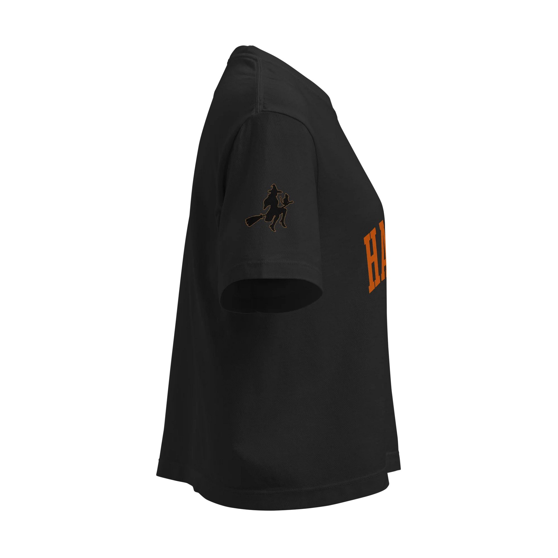 Haunted Heavyweight Boxy T-Shirt product image (4)