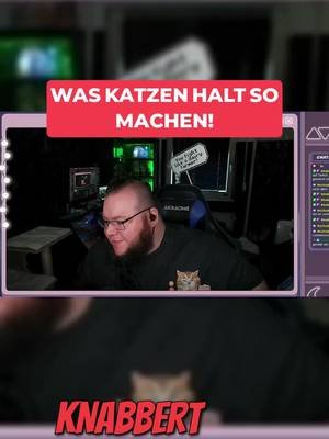 Was Katzen halt so anstellen! 😂| Stream Clip Wir quatschen über Katzen und ihre ganz besonderen Talente. Plötzlich fällt mir ein halb abgerissenes HDMI-Kabel von meiner Capture Card ein... nur dumm, dass die Capture Card längst woanders liegt. 😂 Also wie zur Hölle ist das Kabel überhaupt dahin gekommen? Ich habe da so einen flauschigen Hauptverdächtigen. 🐈 👉 Was ist das Schlimmste, das eure Katze jemals angestellt hat? 😂 📺 Mehr Story-Momente & Stream Highlights: Twitch: twitch.tv/tigerkiller93 YouTube: youtube.com/tigerkiller93 Ich bin Tigerkiller93, Gamer, Streamer und Fan packender Geschichten. Hier gibt's Let's Plays, spannende Demos, tiefgehende Abenteuer und ehrliches Game-Testing quer durch die Gaming-Welt! #Gaming #StreamClip #GamingShorts #GamingMoment #Katzen #Cats #CatChaos #FunnyGaming #Haustiere #JustChatting