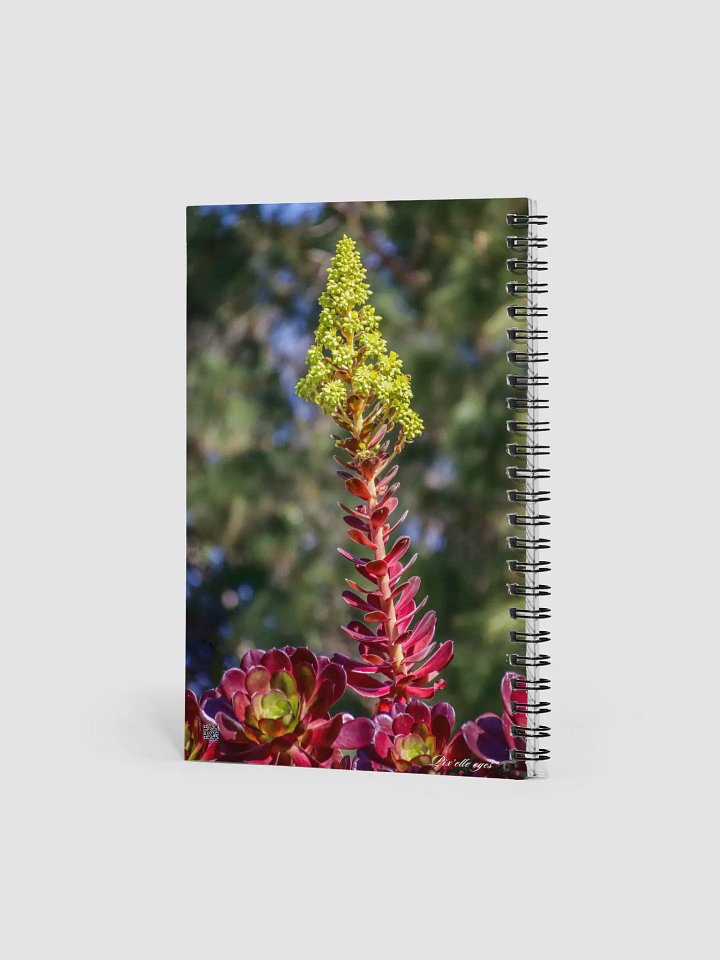 📘 Notebook Collection PURE – Jardin du Rayol – Aeonium en floraison product image (2)