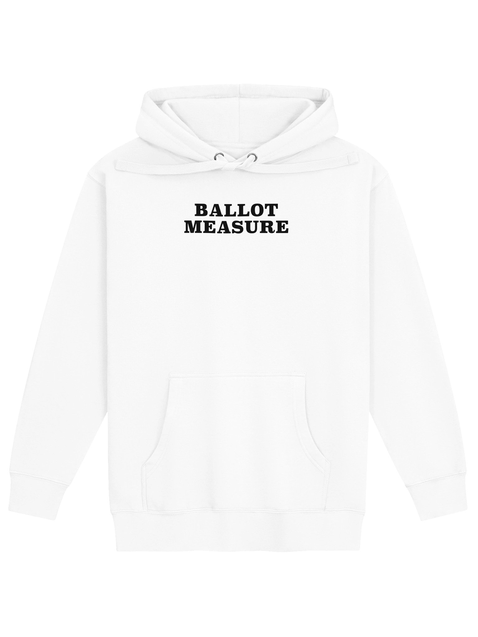 Ballot Measure Hoodie (Light) product image (1)