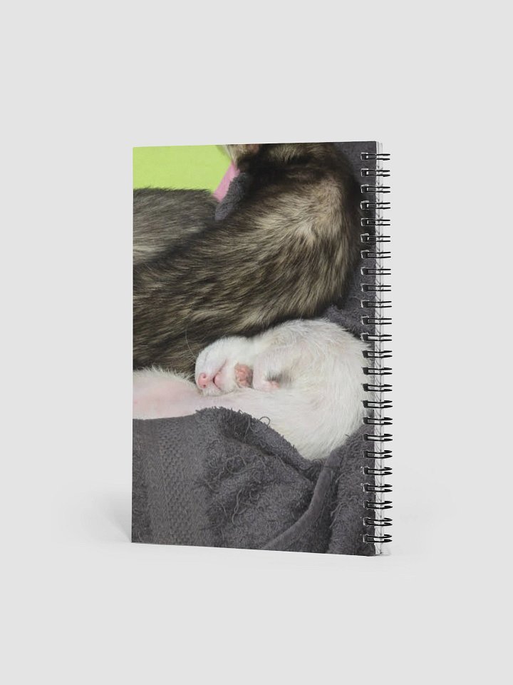 Cici Notebook product image (2)