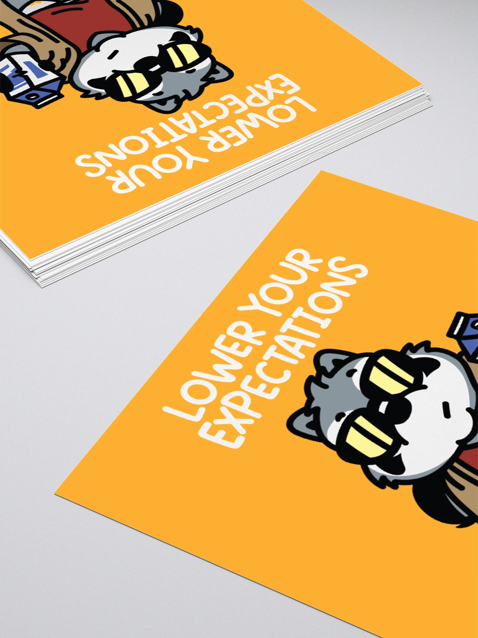 Lower Your Expectations Sticker product image (11)