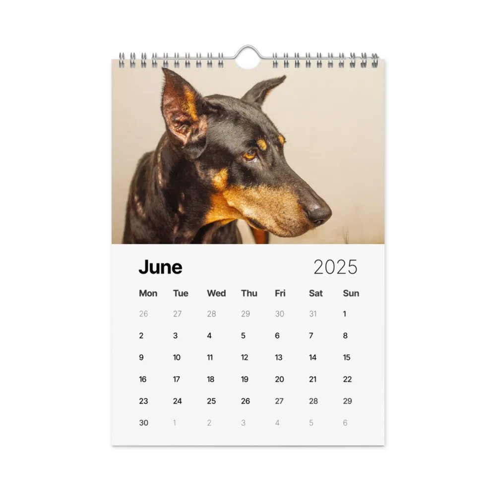The first year - 2025 Calendar product image (7)