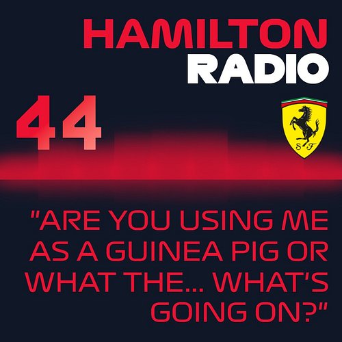 Ferrari was today years old when they found out Guinea pigs shouldn’t be put on hamster wheels

#f1fanart #lewishamilton #gui...