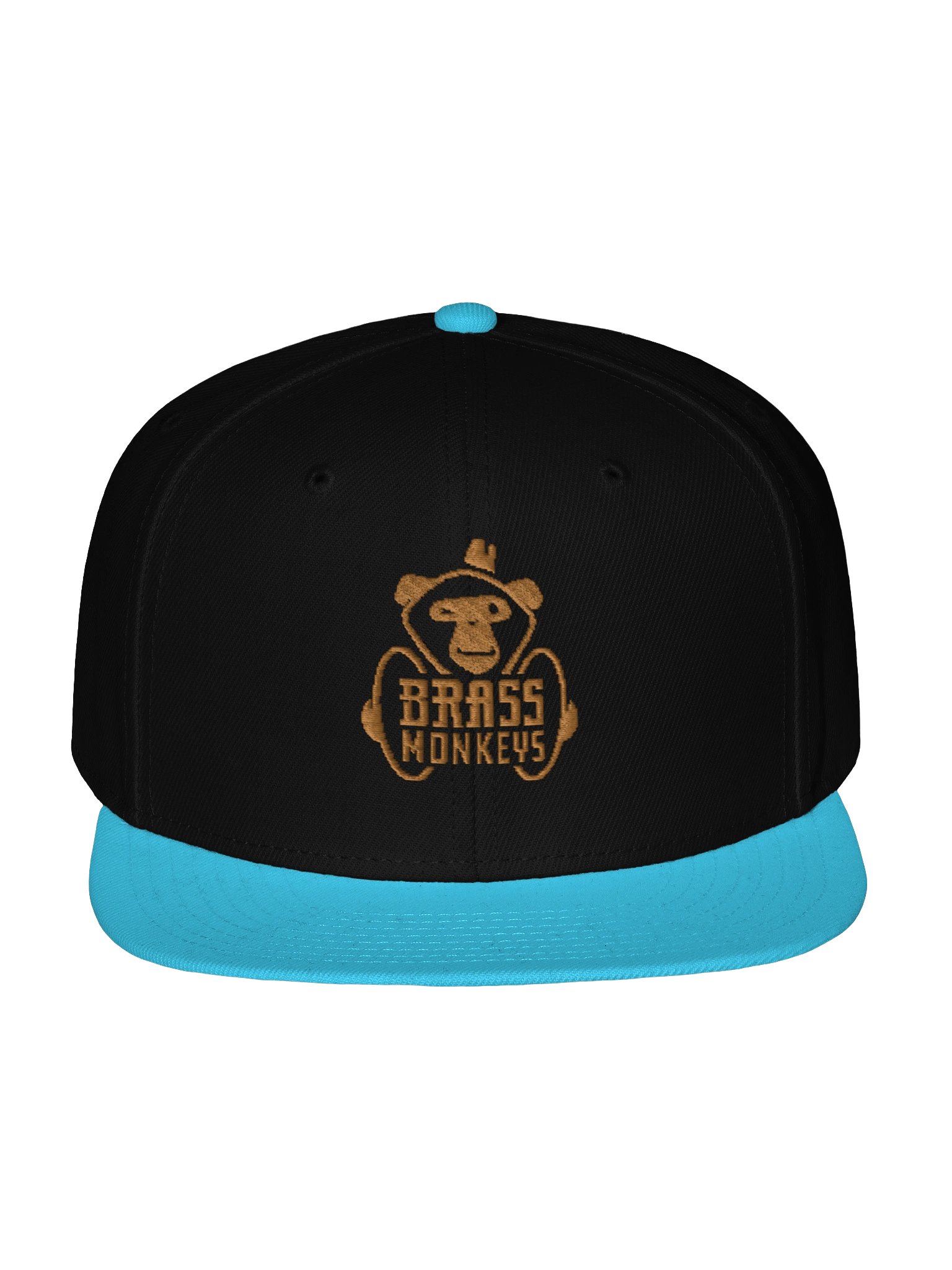 Logo Snapback product image (7)