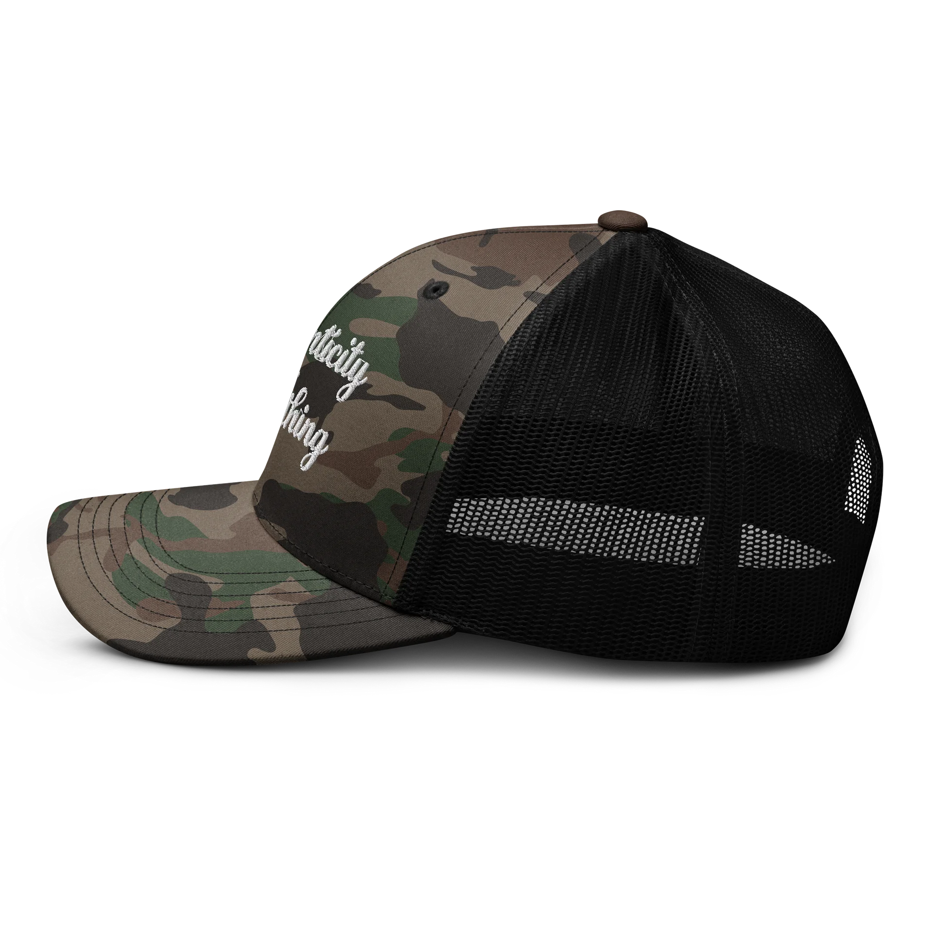 Authenticity Script Logo hat product image (3)