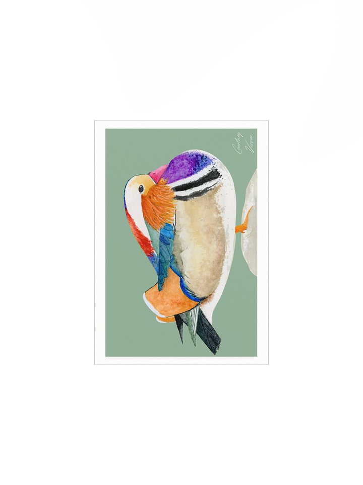 Mandarin duck print (dark green background) product image (2)