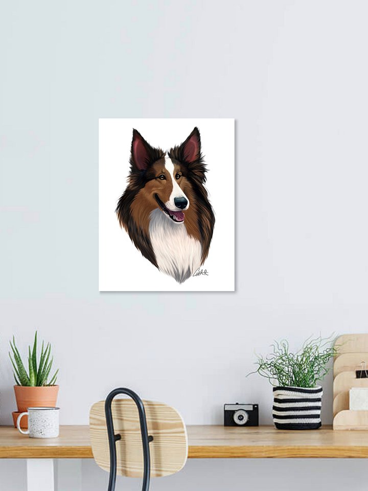 Dog Breeds: Shetland Sheepdog Print product image (1)