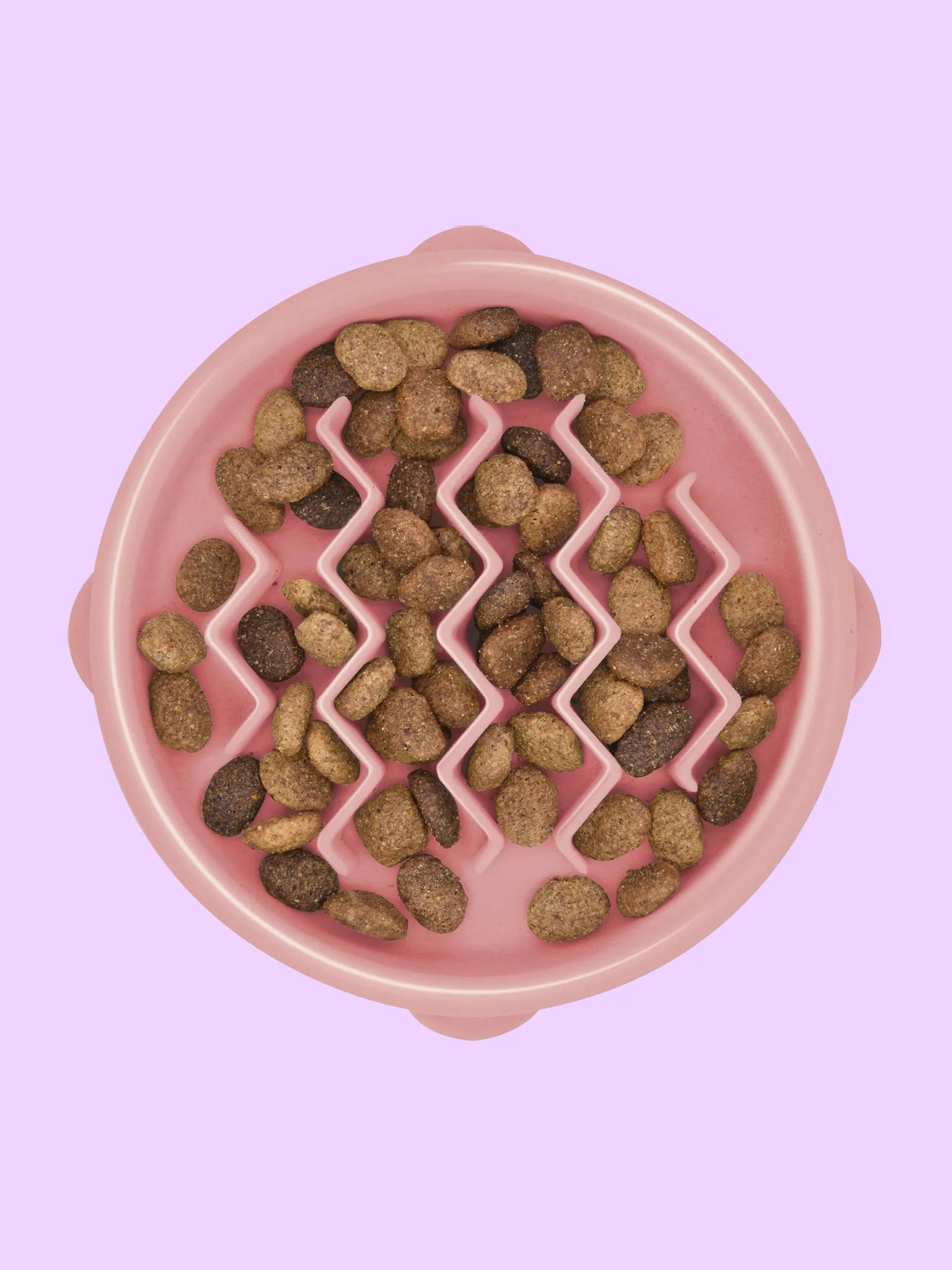Slow Feeder Bowl for Dogs & Cats product image (6)