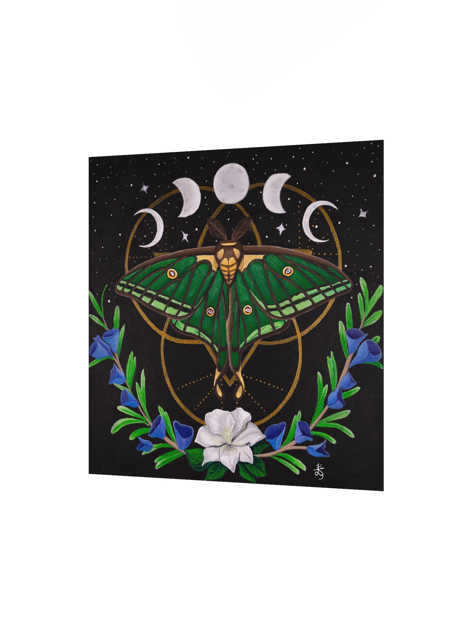 Spanish Moon Moth Original Art Print product image (2)