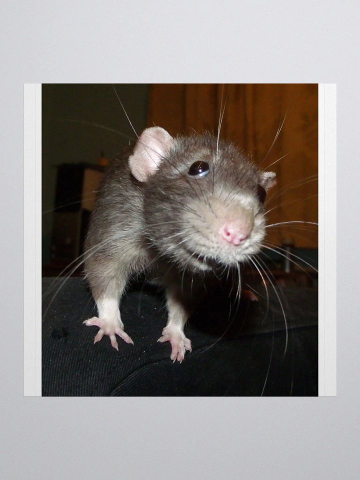Biff rat sticker product image (1)