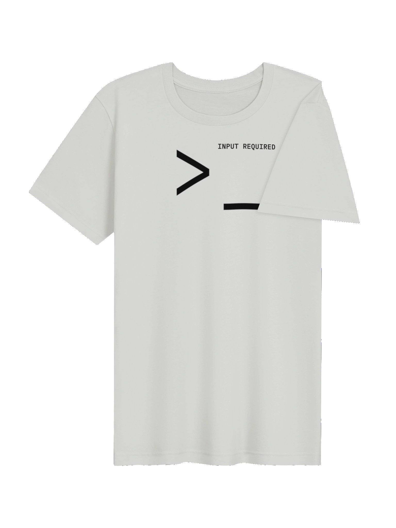 INPUT REQUIRED Minimalist T-shirt product image (41)