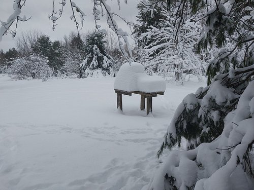 A bit of snow in the Keweenaw.  The family hunting camp never disappoints!  My dad took these pictures during his almost 3 ho...