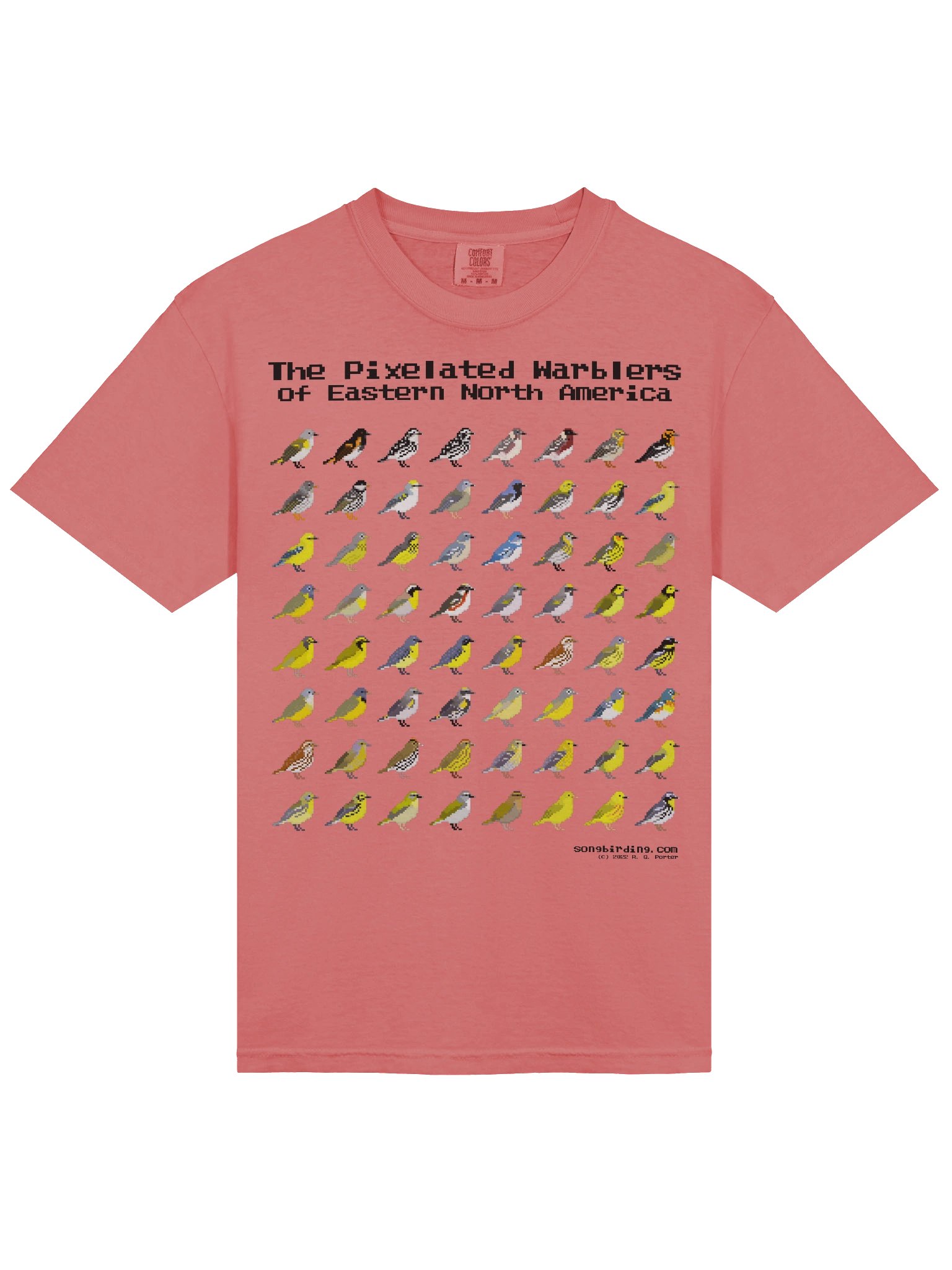 The Pixelated Warblers of Eastern North America Heavyweight Tee (black text) product image (3)