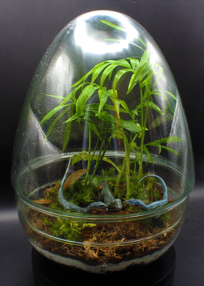 LargeScapes