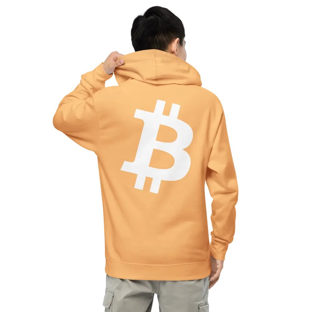 Embroidered ₿itcoin Orange-Peach Hoody product image (2)