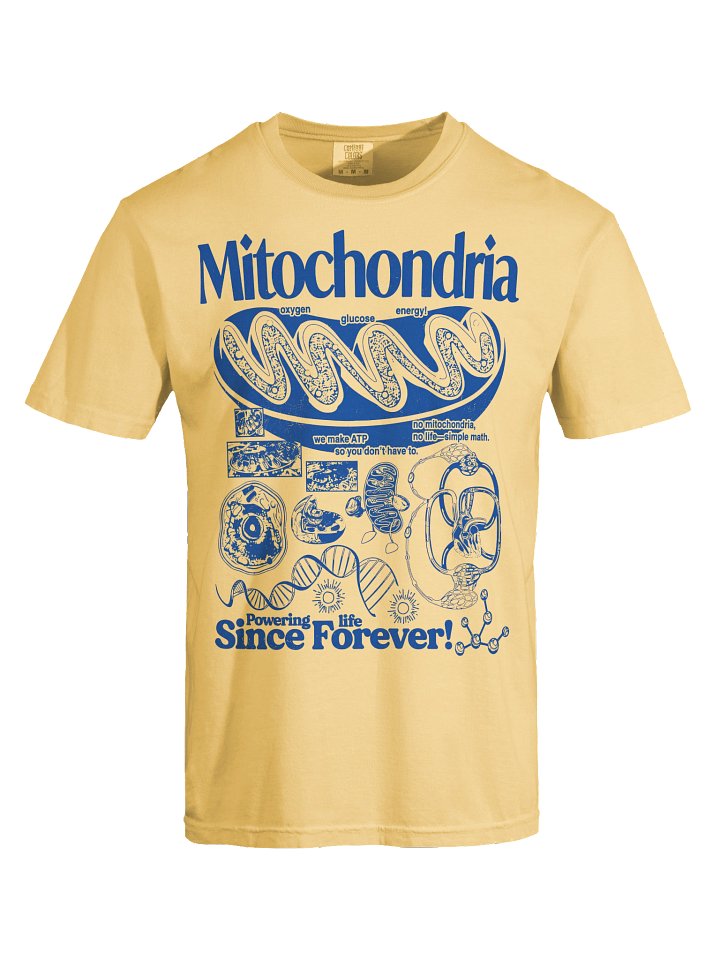 Mitochondria Graphic Tee,Biology Teacher Shirt, Comfort Colors Science Graphic Tee, Unisex product image (62)