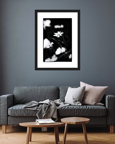 She Is Like A Flower In The Sun
Decorate Your Space!
Art work available as Framed Prints, Canvas Prints, Metal Prints & Fine ...