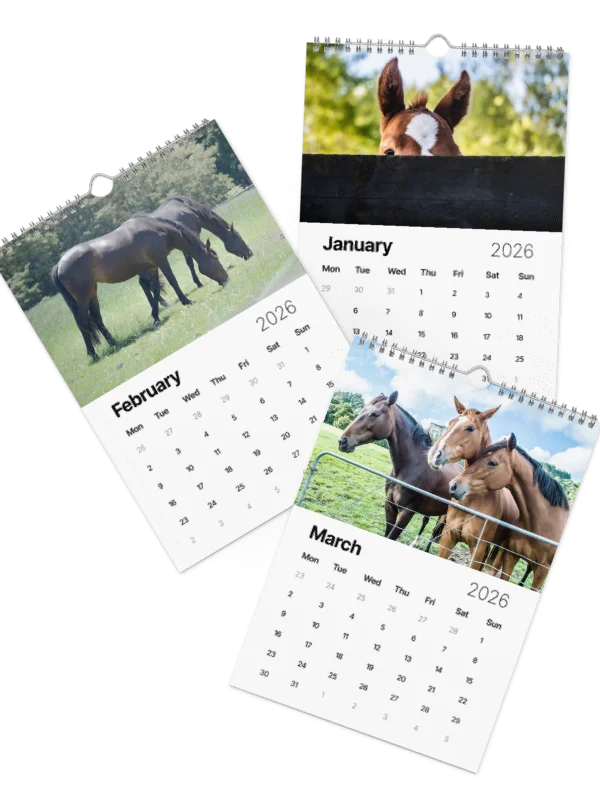 Equine 2026 product image (2)