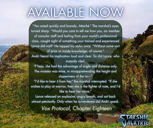 The newest chapter of VOX PROTOCOL, my serializing sci-fi novel, is available now on the Starship Valkyrie Fiction Substack! ...