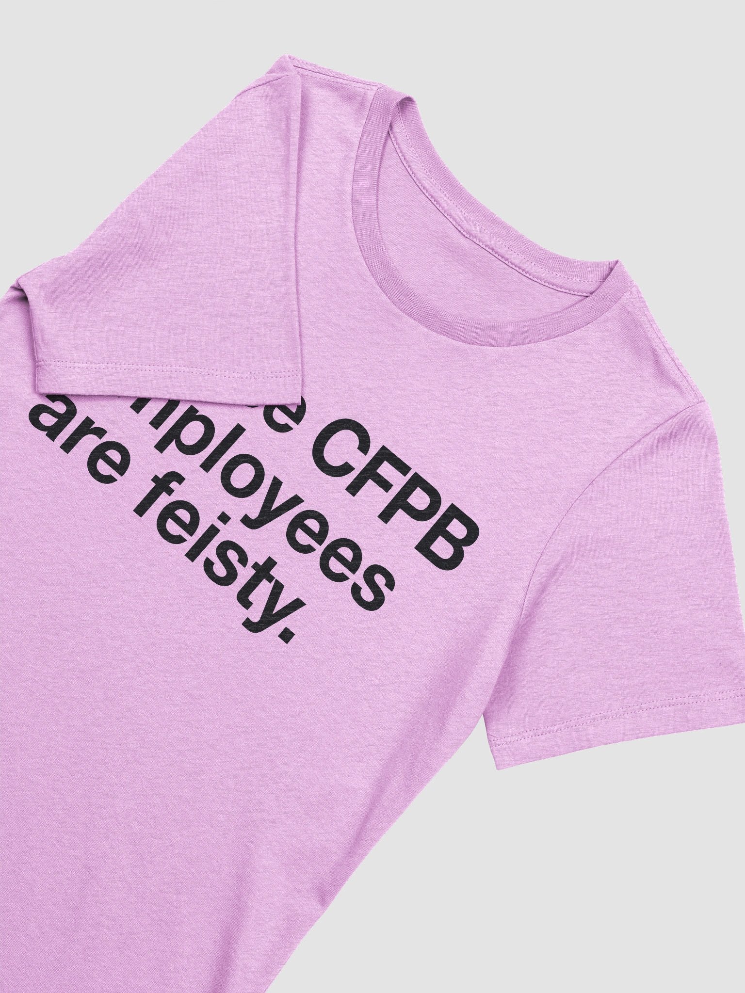 Those CFPB Employees Are Feisty Women's Cut T-Shirt (Black) product image (45)