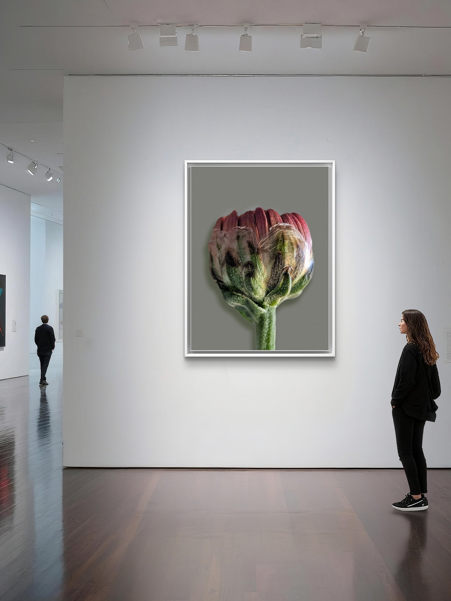 Gerbera Bud Macro Photography Print | Moody Botanical Wall Art | Printable Digital Download product image (7)