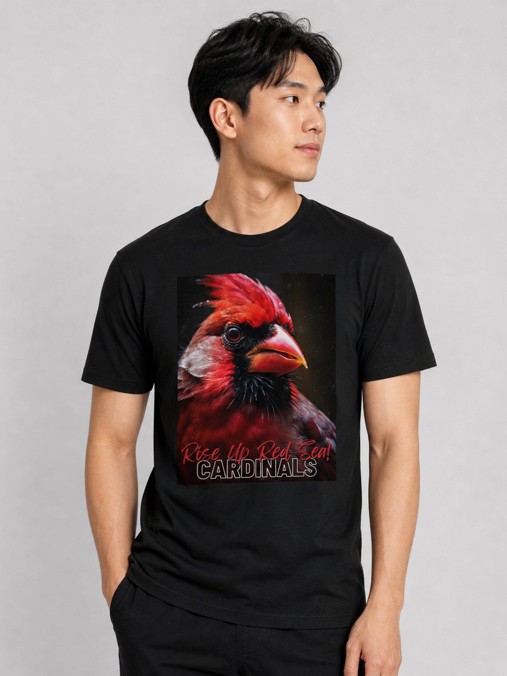 Cardinals - Rise Up Red Sea! product image (1)