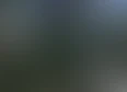 investor's club update's tag thumbnail