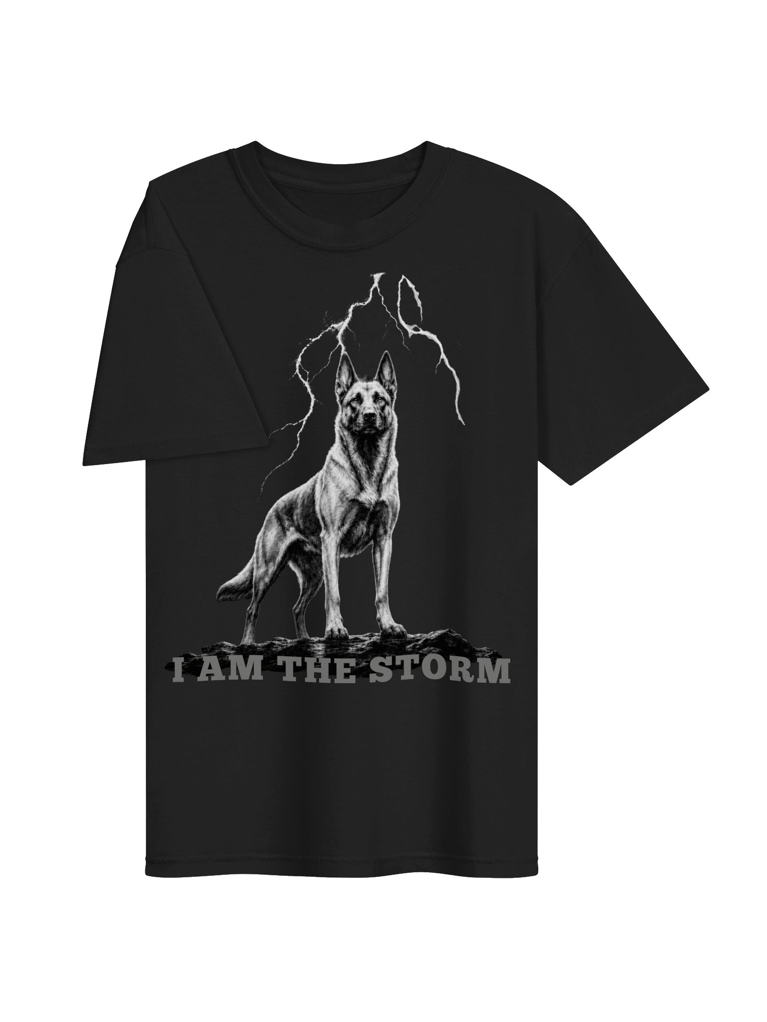 I AM THE STORM product image (8)