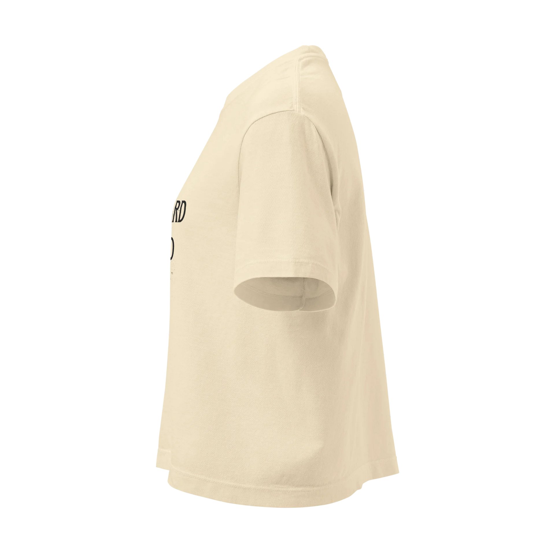 Graveyard Bard Boxy Tee product image (3)