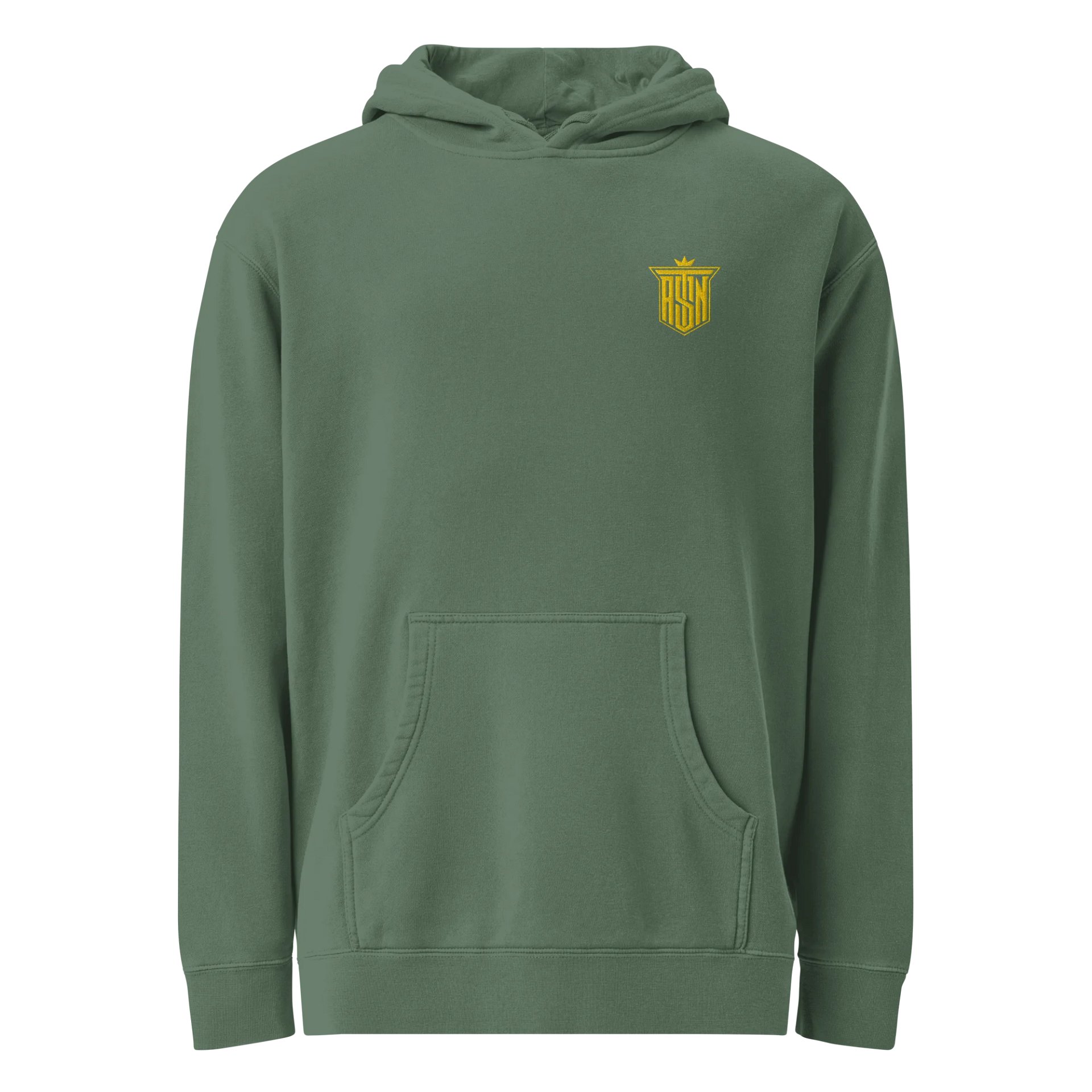 ASNT Hoodie product image (1)