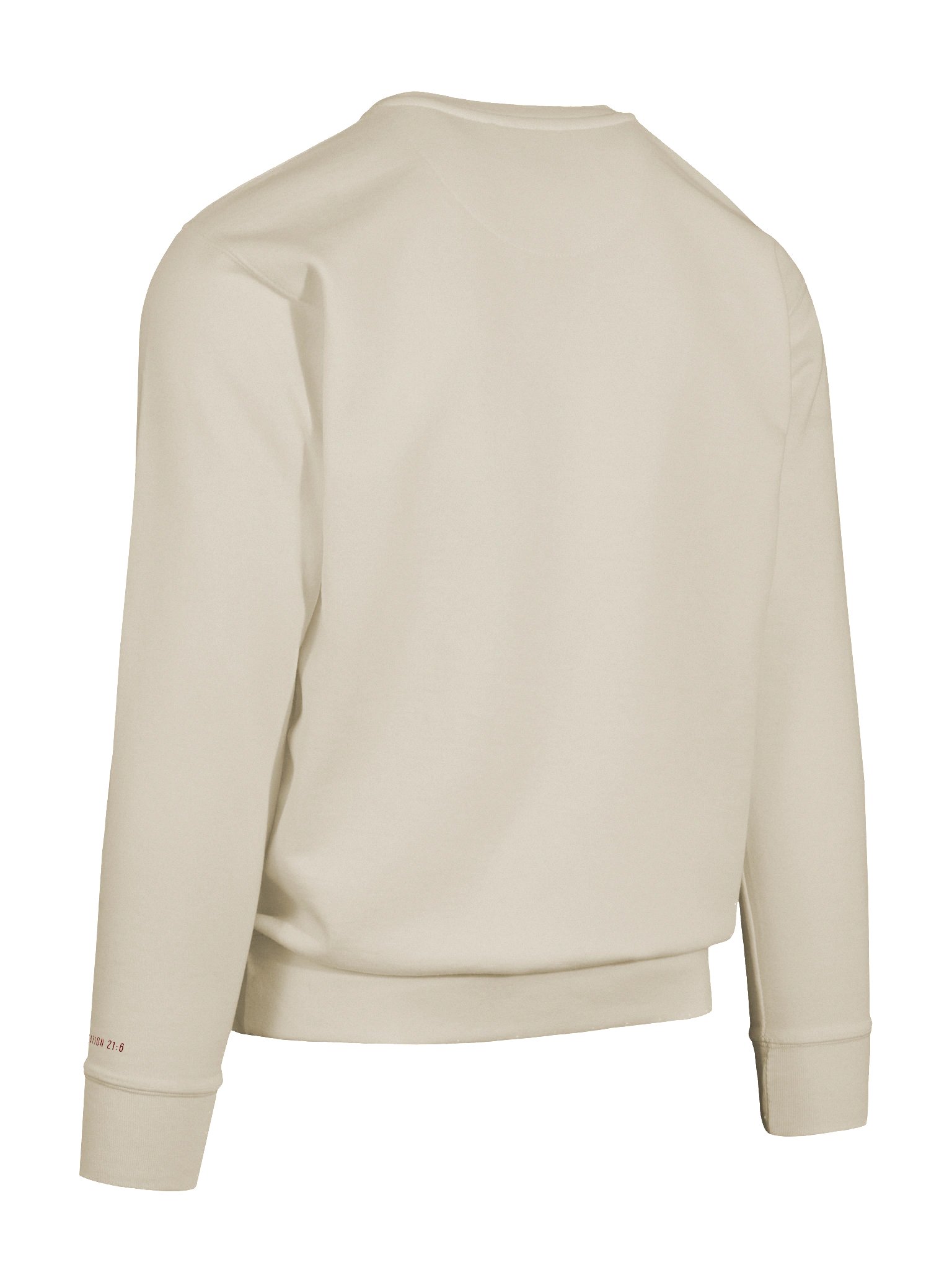 TRIUMPHANT - Embroidered Crewneck product image (10)