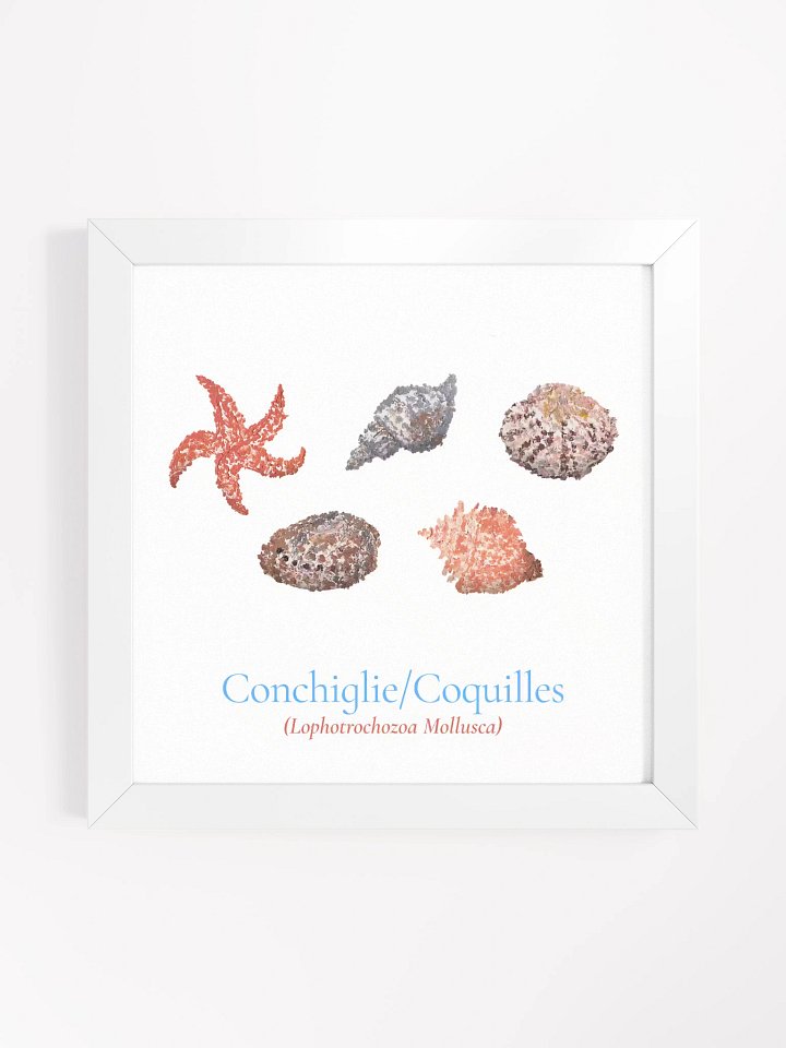 Conchiglie Botanicus Frame product image (1)