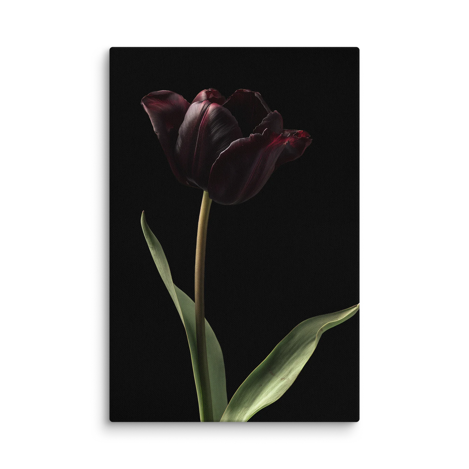 Tulips After Dusk II — Solitary Flame Canvas product image (1)