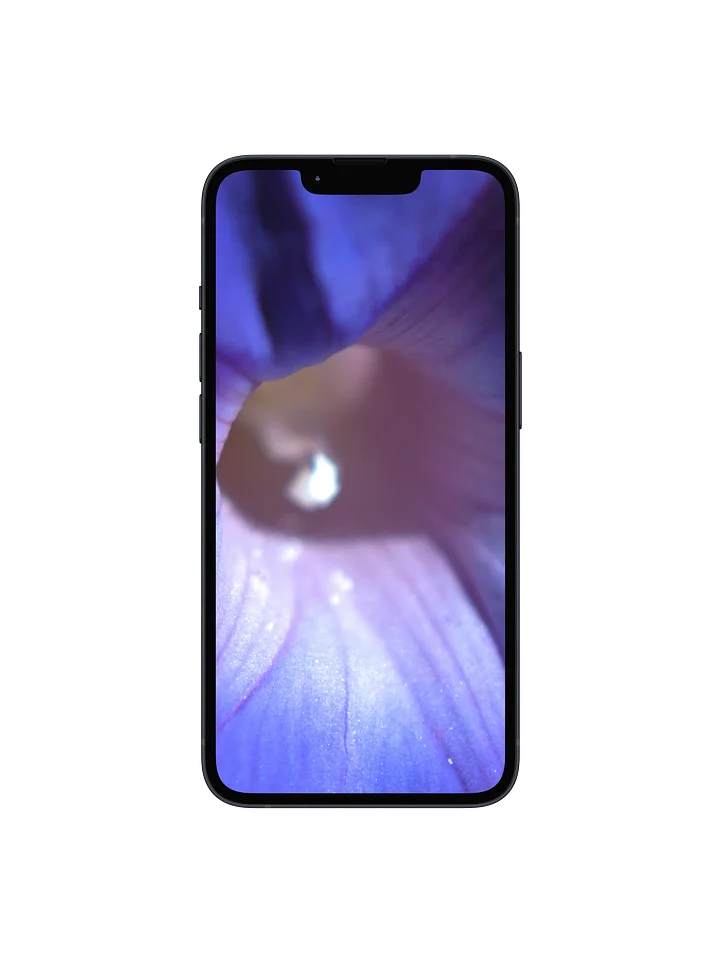 Morning Glory Digital Wallpaper Set product image (1)