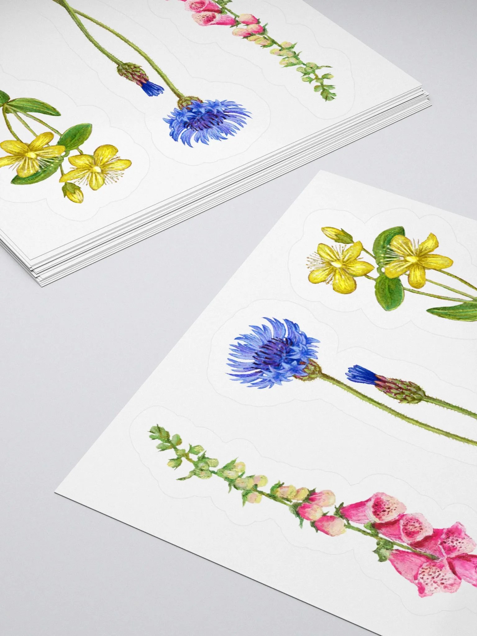 Botanical illustrations stickers product image (1)