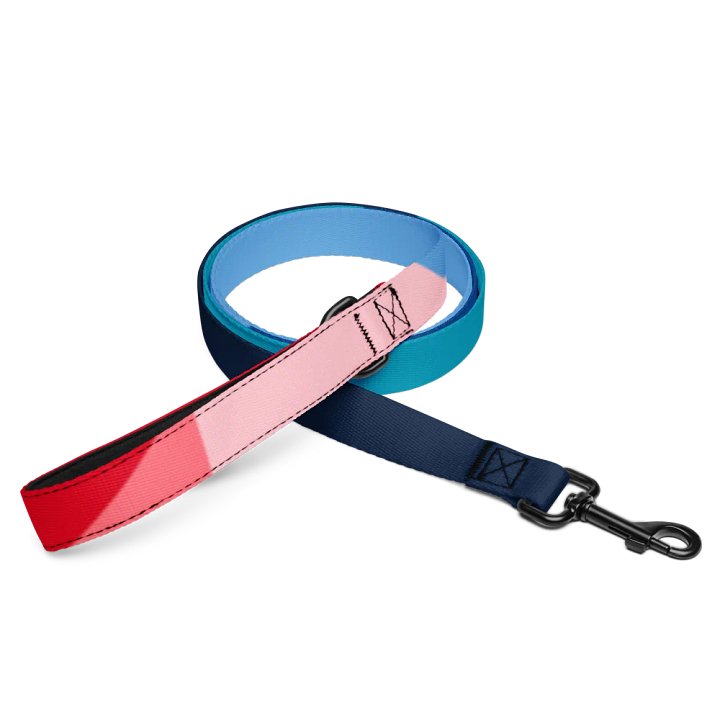 Lucky Dog Vibrant Stripes Pet Leash #001 product image (1)