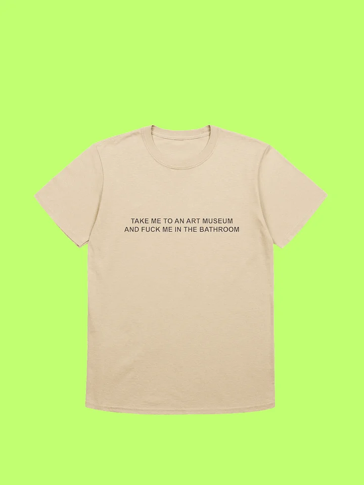 Take Me To An Art Museum And Fuck Me In The Bathroom Shirt product image (170)