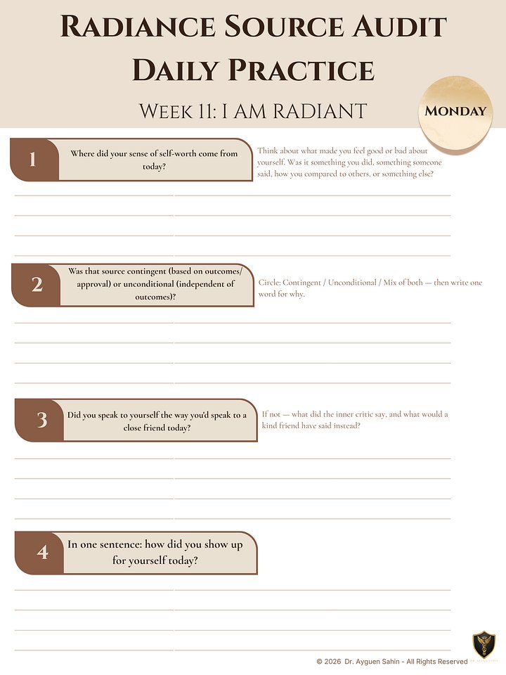 Radiance Source Audit product image (2)