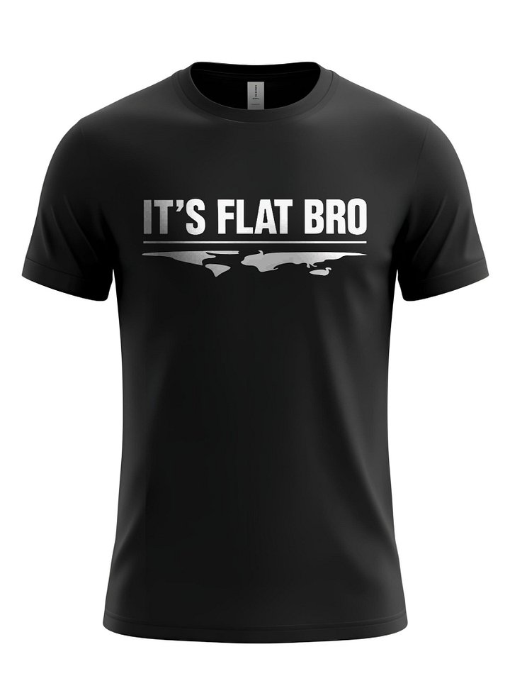 IT'S FLAT BRO T-Shirt - Bold Statement Tee, Flat Earth Humor, Conspiracy Theory Apparel, Unique Gift for Skeptics product image (1)