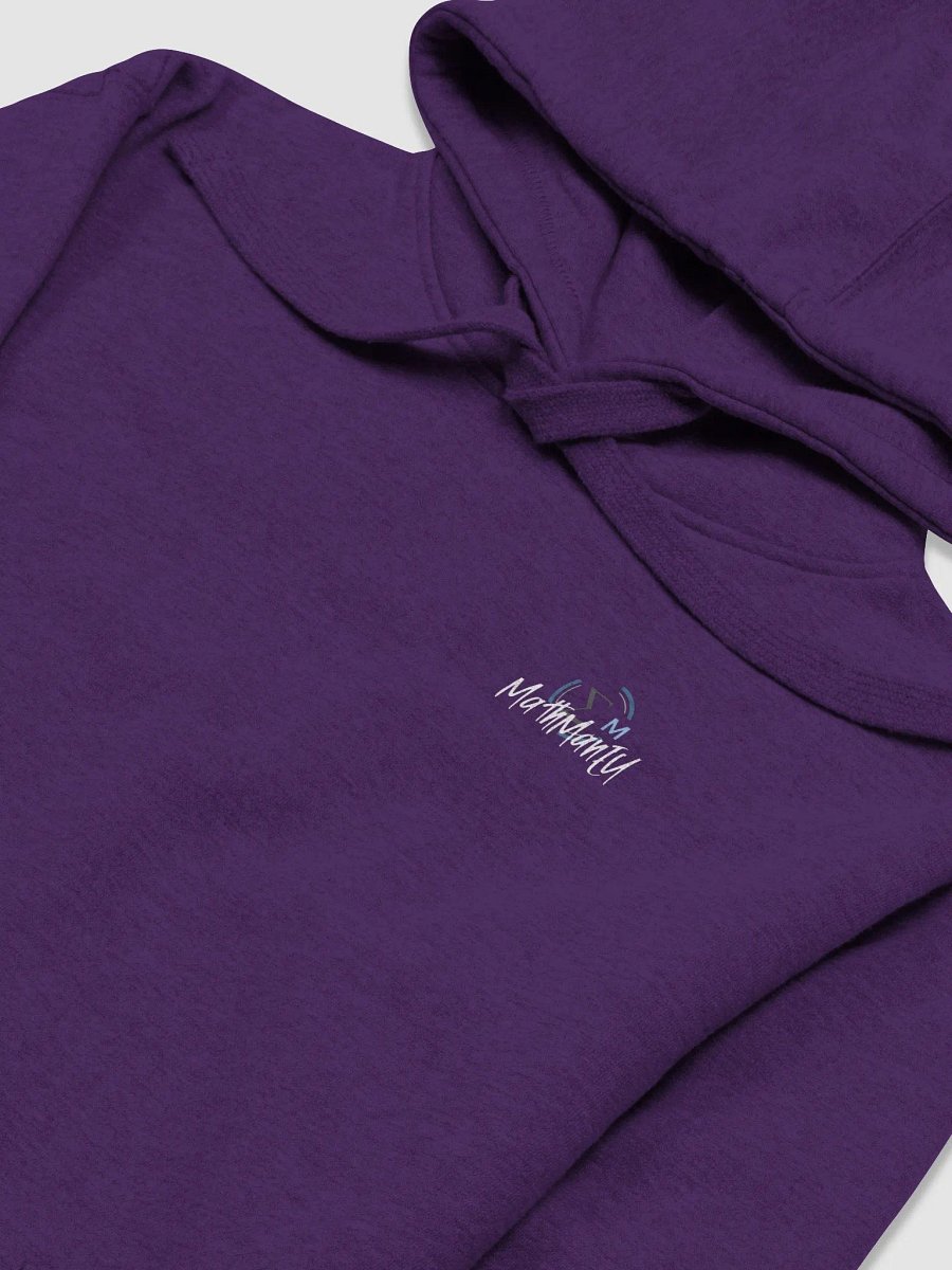 Streetwise Hoodie - Telogrus product image (3)