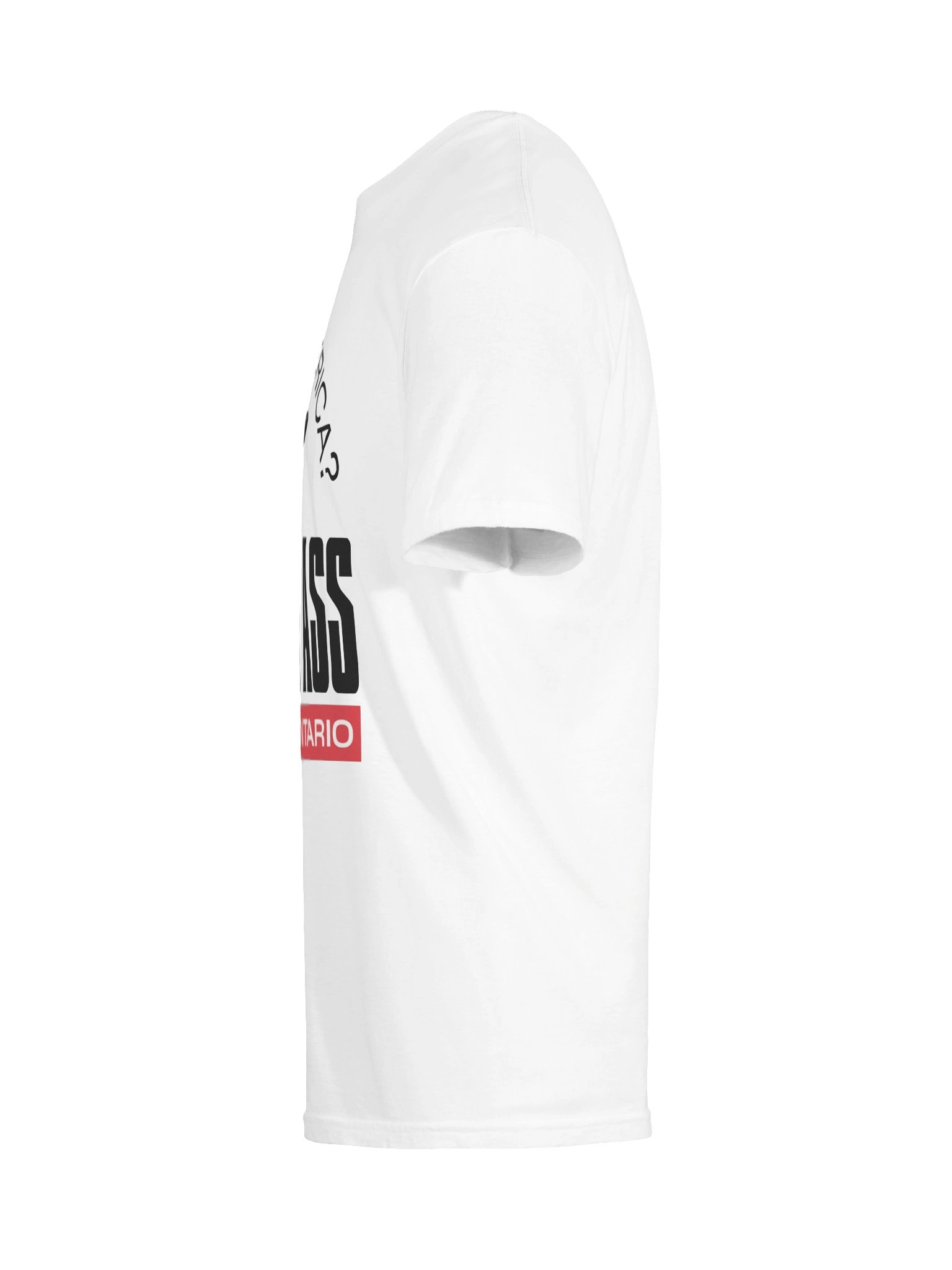Kiss My Ass - It's Lake Ontario Tee product image (79)