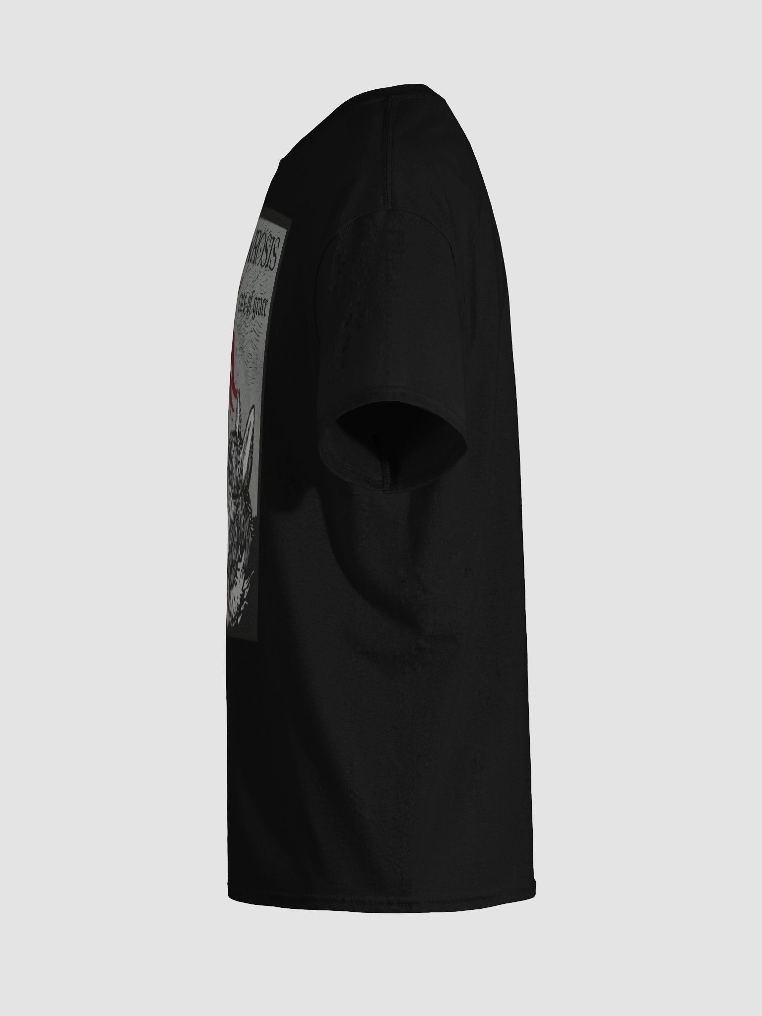 MEOWROSIS TEE product image (11)