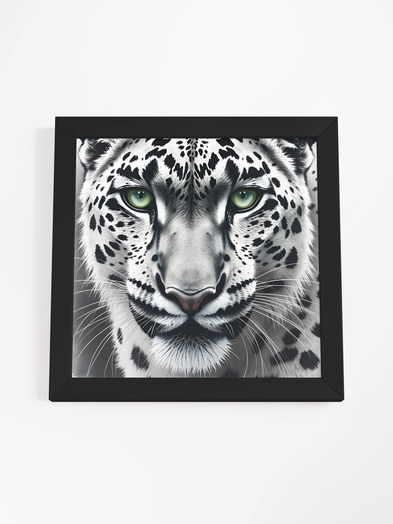 Snowleopard product image (53)