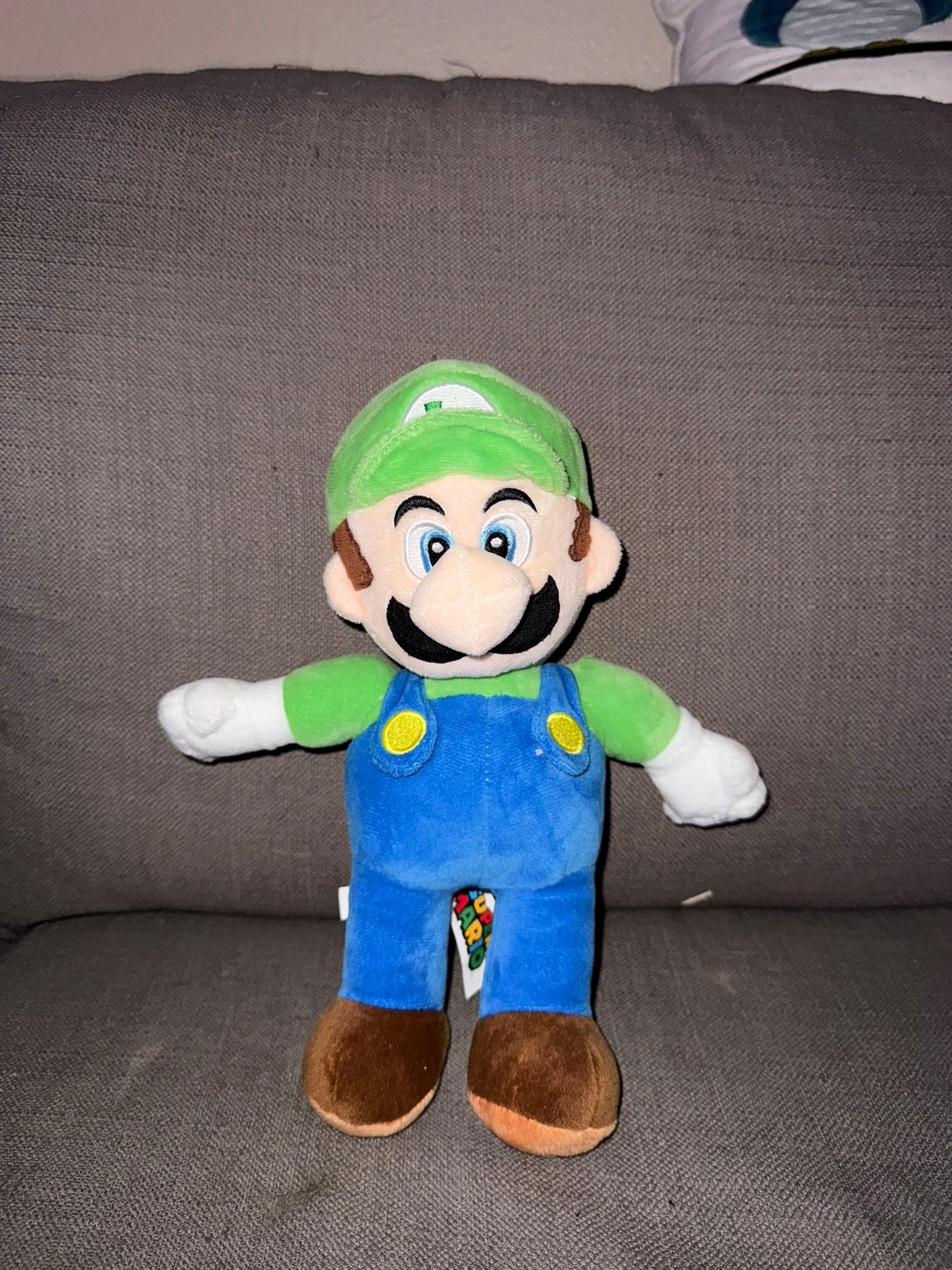 Mario & Luigi Plush product image (3)
