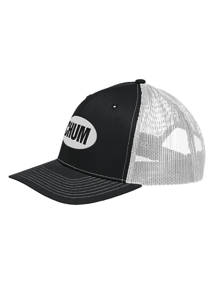Oval logo snapback hat product image (2)