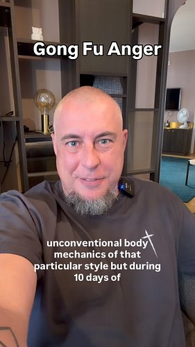 Gong Gu Anger! 😡 😁

#introverts #xingyiquan #gongfu