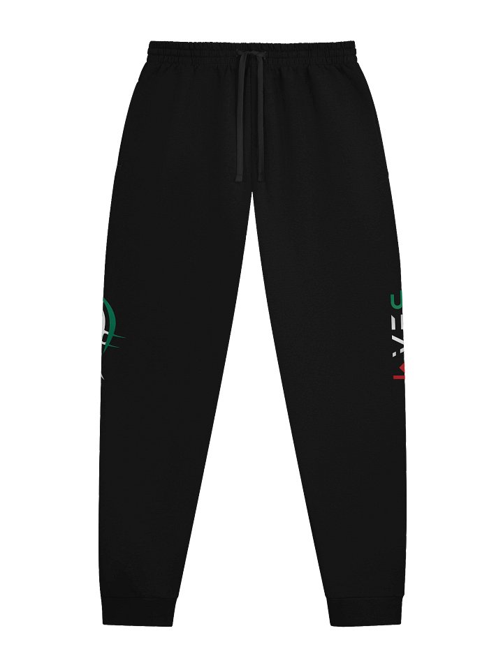 BEAM MEXICAN FLAG JOGGERS product image (3)